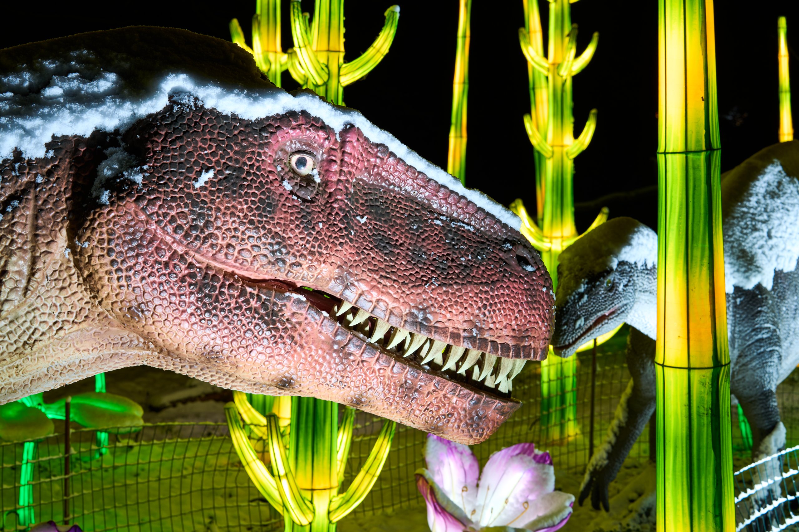 2026 01 05 China Lights 0255